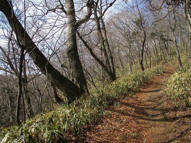 画像5: 4月の山旅会 「八溝山」 の直前下見報告です!