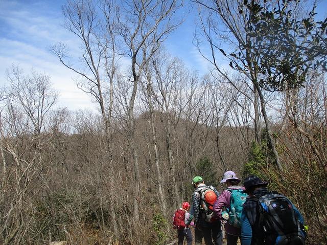 画像11: 3月22日にカタクリで有名な 三かも山 へ行ってきました♪