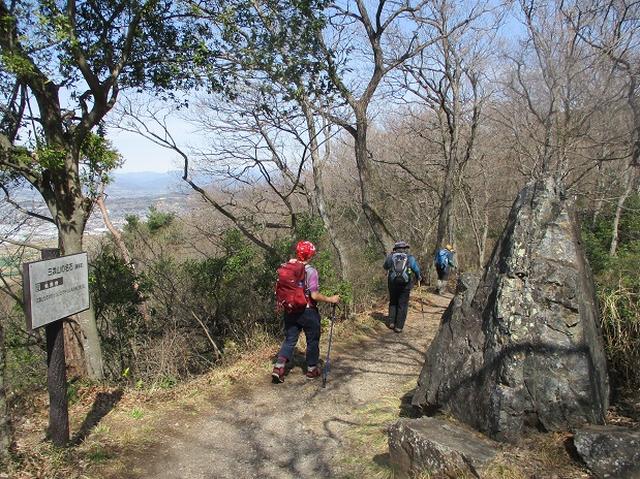 画像6: 3月22日にカタクリで有名な 三かも山 へ行ってきました♪