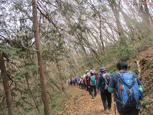 画像13: 3月22日にカタクリで有名な 三かも山 へ行ってきました♪