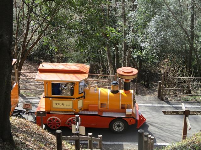 画像3: 3月22日にカタクリで有名な 三かも山 へ行ってきました♪