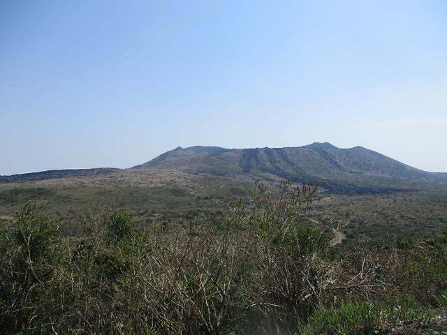 画像9: 【山旅会・登山ガイドこだわりツアー】岡田ガイドからの便り・伊豆大島・三原山ツアーに行ってきました!