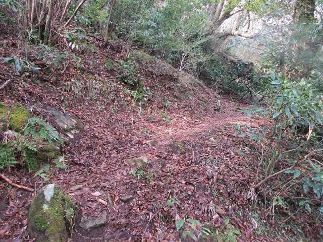 画像1: 4月の山旅会 「湯坂路」 の直前下見報告です!