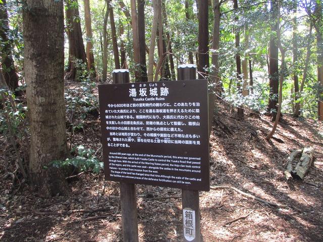 画像11: 4月の山旅会 「湯坂路」 の直前下見報告です!