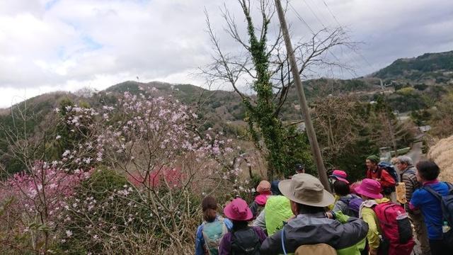 画像10: 3月21日に佐藤たけゆきガイドと、その名も!! たけ山~シダンゴ山 へ行ってきました♪