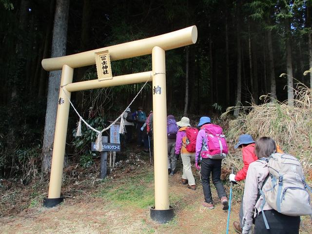 画像2: 4月1日に山旅会「盛金富士」ツアーにいってきました!