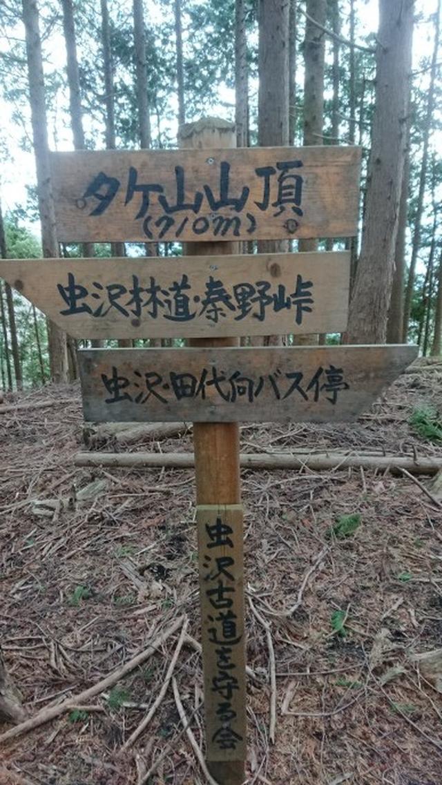 画像6: 3月21日に佐藤たけゆきガイドと、その名も!! たけ山~シダンゴ山 へ行ってきました♪