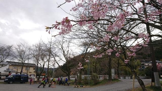 画像13: 3月21日に佐藤たけゆきガイドと、その名も!! たけ山~シダンゴ山 へ行ってきました♪