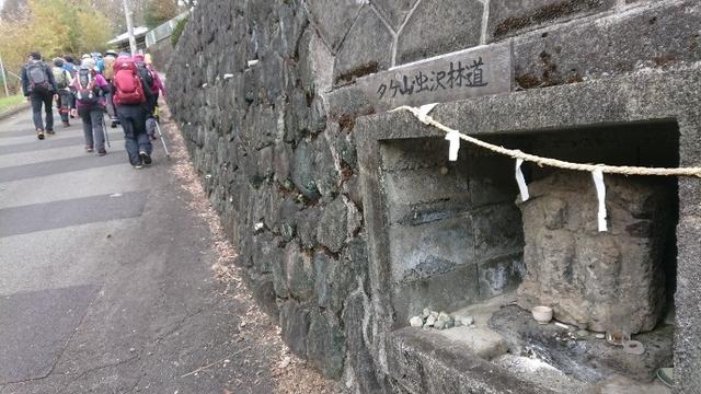 画像2: 3月21日に佐藤たけゆきガイドと、その名も!! たけ山~シダンゴ山 へ行ってきました♪