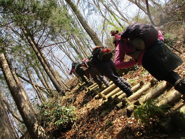 画像4: 3月28日に岡田ガイドのコースで、埼玉県にたたずむ 陣見山 へ行ってきました♪