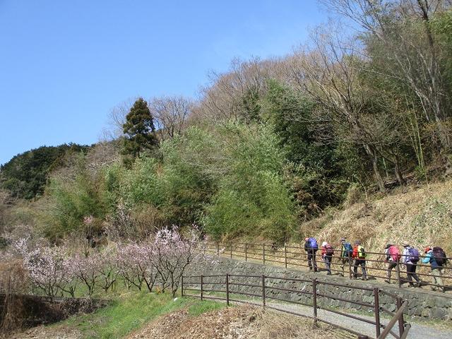 画像1: 3月28日に岡田ガイドのコースで、埼玉県にたたずむ 陣見山 へ行ってきました♪