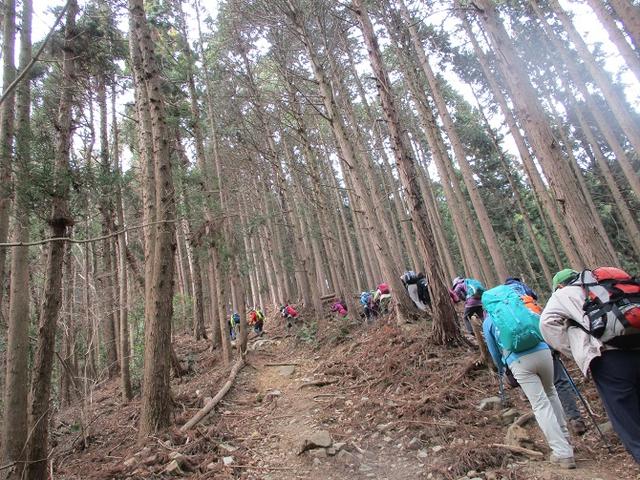 画像8: 3月28日に岡田ガイドのコースで、埼玉県にたたずむ 陣見山 へ行ってきました♪