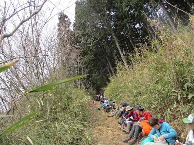 画像9: 3月28日に岡田ガイドのコースで、埼玉県にたたずむ 陣見山 へ行ってきました♪