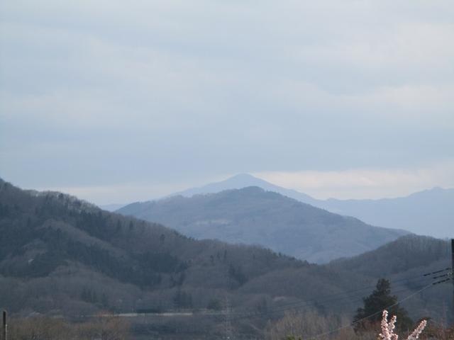 画像13: 3月28日に岡田ガイドのコースで、埼玉県にたたずむ 陣見山 へ行ってきました♪