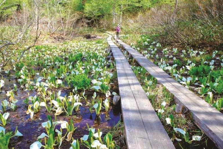 画像: 登山・ハイキング・ウォーキング 旅行・ツアー|あるく|クラブツーリズム