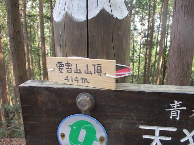 画像7: 4月の山旅会 「天狗岩から要害山」 の直前下見報告です!