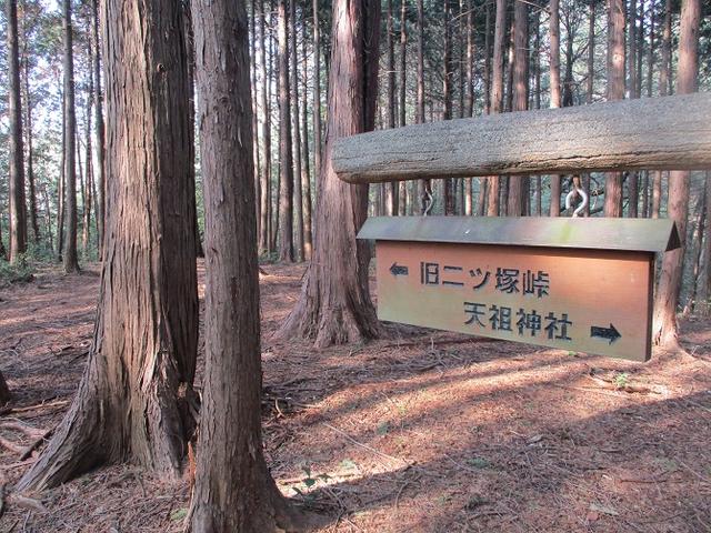 画像3: 4月の山旅会 「天狗岩から要害山」 の直前下見報告です!