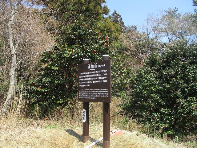 画像4: 4月6日に山旅会 「箱根・湯坂路」 ツアーに行ってきました!