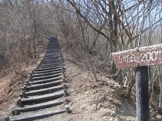 画像6: 4月5日に岡田ガイドのコースで群馬県の桜で有名な 「牛伏山」 へ行ってきました♪