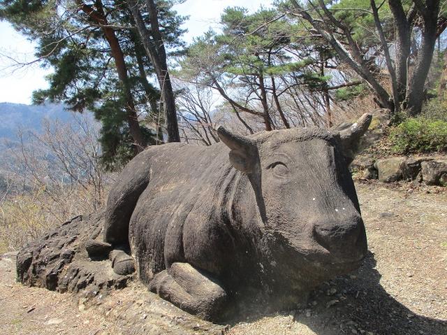 画像10: 4月5日に岡田ガイドのコースで群馬県の桜で有名な 「牛伏山」 へ行ってきました♪