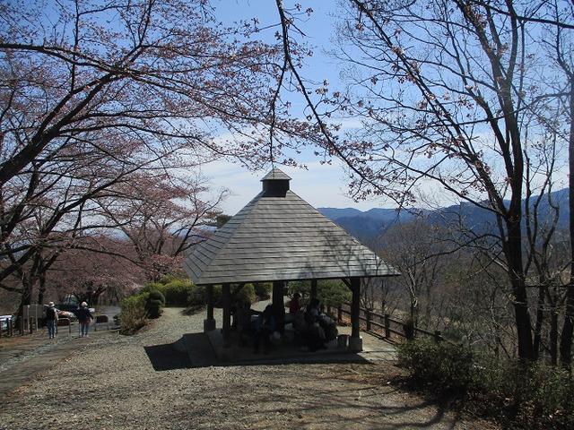 画像9: 4月5日に岡田ガイドのコースで群馬県の桜で有名な 「牛伏山」 へ行ってきました♪