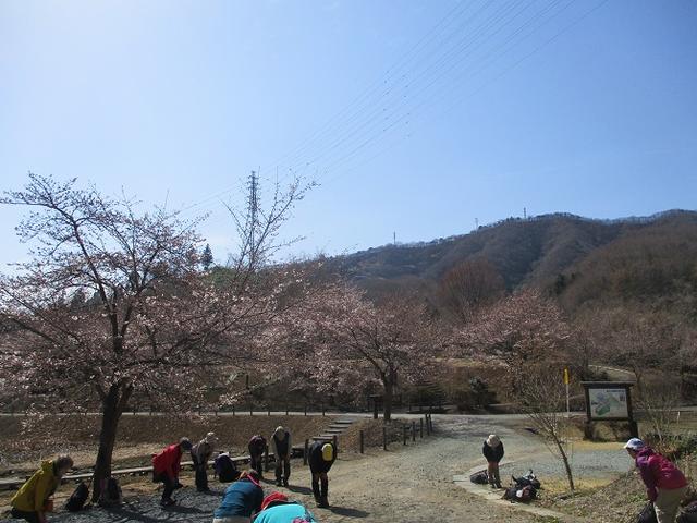 画像1: 4月5日に岡田ガイドのコースで群馬県の桜で有名な 「牛伏山」 へ行ってきました♪