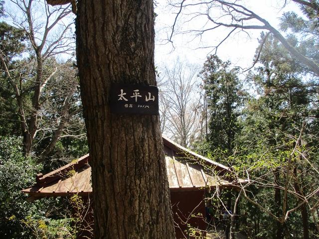 画像9: 4月9日に山旅会 晃石山から太平山 ツアーに行ってきました! にいって