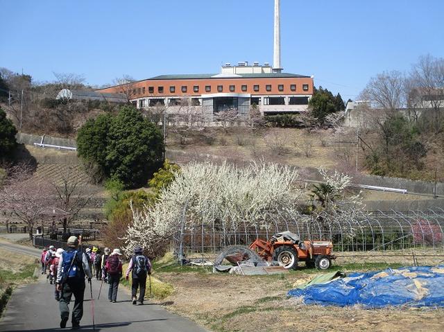 画像14: 4月5日に岡田ガイドのコースで群馬県の桜で有名な 「牛伏山」 へ行ってきました♪