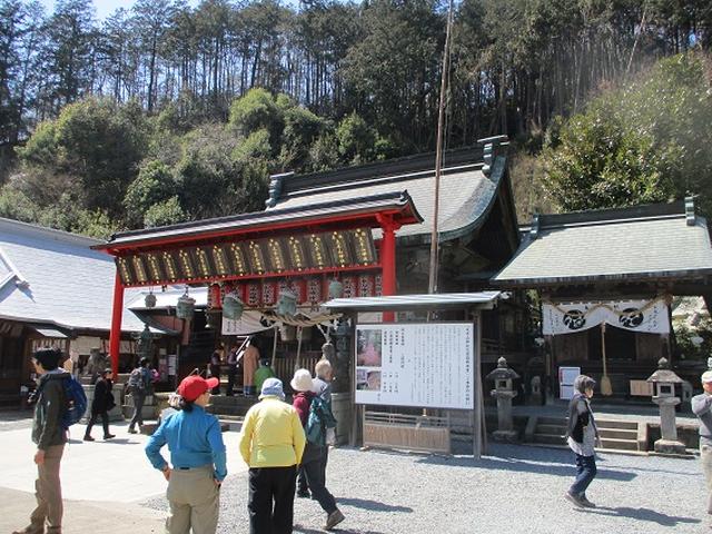 画像10: 4月9日に山旅会 晃石山から太平山 ツアーに行ってきました! にいって