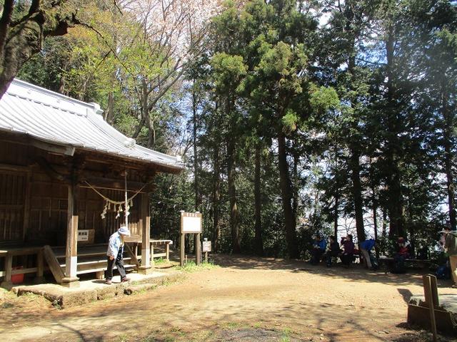 画像6: 4月9日に山旅会 晃石山から太平山 ツアーに行ってきました! にいって