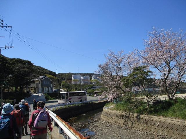 画像11: 本日は対馬・姫神山のツアー報告です!