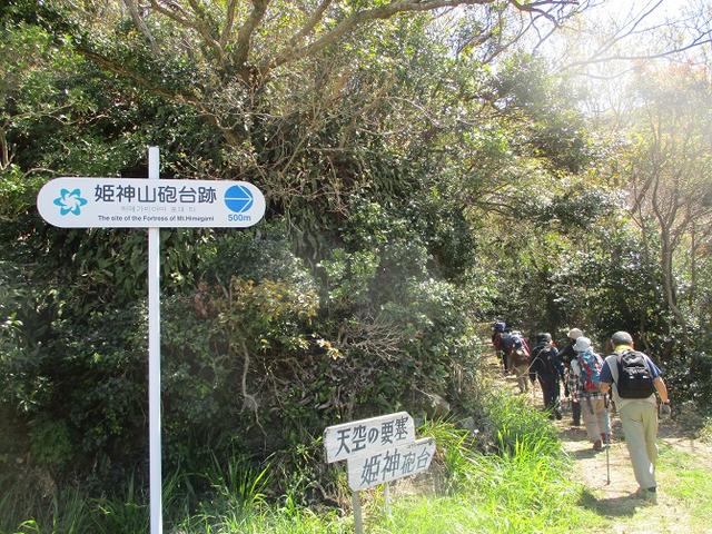 画像2: 本日は対馬・姫神山のツアー報告です!