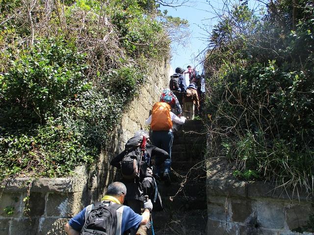 画像6: 本日は対馬・姫神山のツアー報告です!
