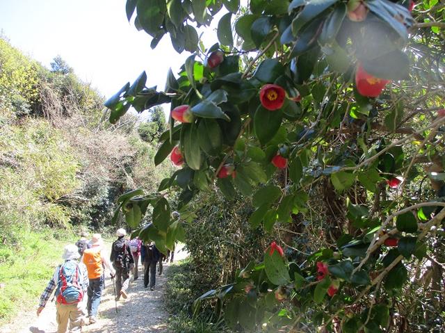 画像10: 本日は対馬・姫神山のツアー報告です!