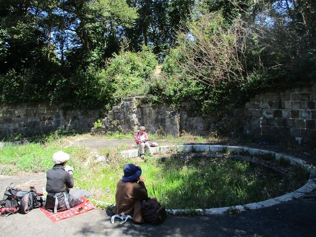 画像9: 本日は対馬・姫神山のツアー報告です!