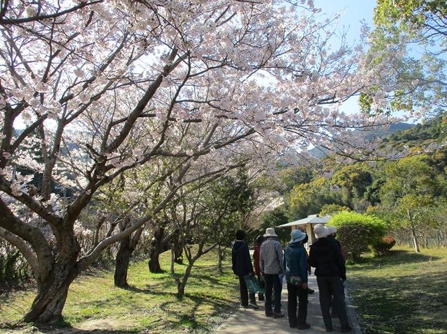 画像15: 本日は対馬・姫神山のツアー報告です!