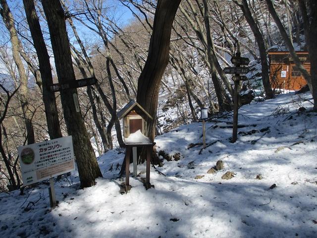画像5: 4月の山旅会 鳴神山 ツアーの下見に行ってきました!