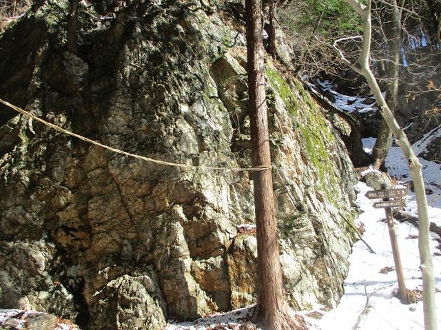 画像3: 4月の山旅会 鳴神山 ツアーの下見に行ってきました!