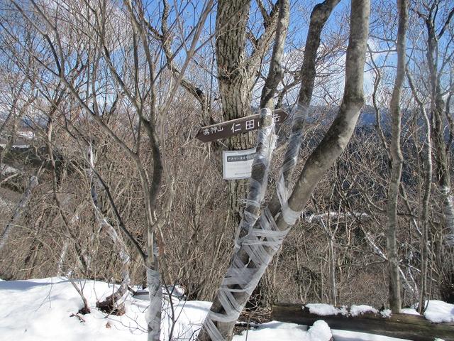 画像7: 4月の山旅会 鳴神山 ツアーの下見に行ってきました!