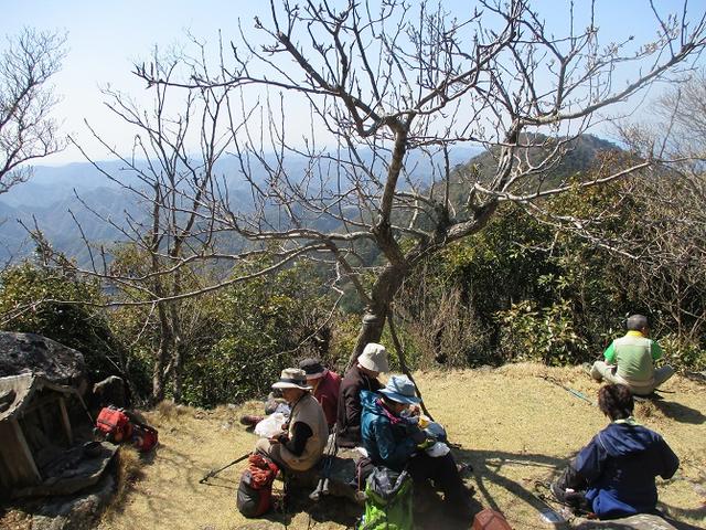 画像8: 【山旅会・登山ガイドこだわりツアー】添乗員からの便り・対馬の御岳へいってきました!