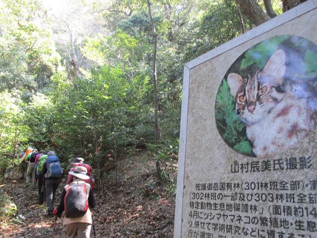 画像5: 【山旅会・登山ガイドこだわりツアー】添乗員からの便り・対馬の御岳へいってきました!