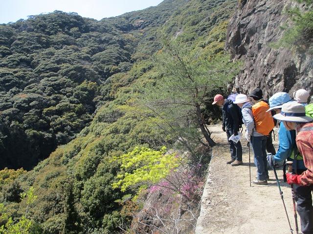 画像11: 対馬ツアー3日目は青空気持ち良い、 金田城山 へ行きました!