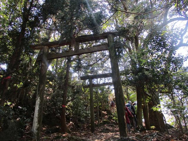 画像6: 【山旅会・登山ガイドこだわりツアー】添乗員からの便り・対馬の御岳へいってきました!