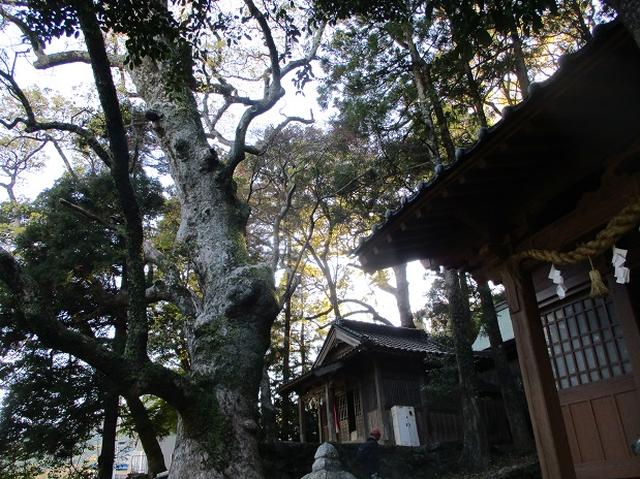 画像12: 【山旅会・登山ガイドこだわりツアー】添乗員からの便り・対馬の御岳へいってきました!