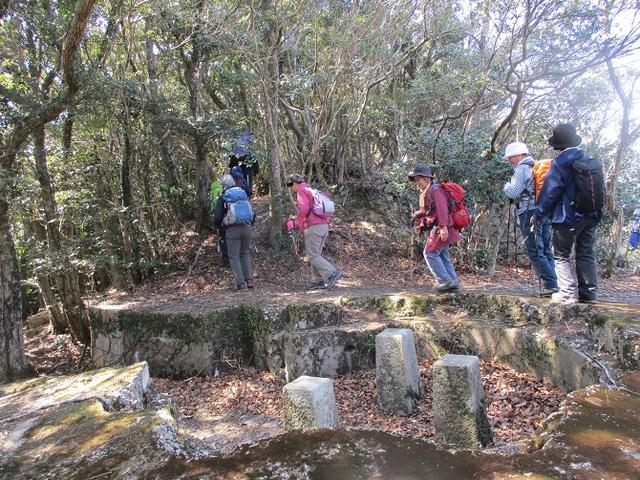 画像5: 対馬ツアー3日目は青空気持ち良い、 金田城山 へ行きました!