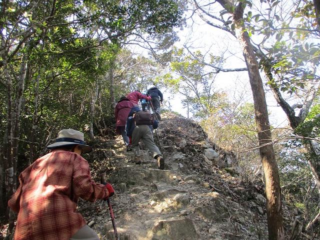 画像4: 対馬ツアー3日目は青空気持ち良い、 金田城山 へ行きました!