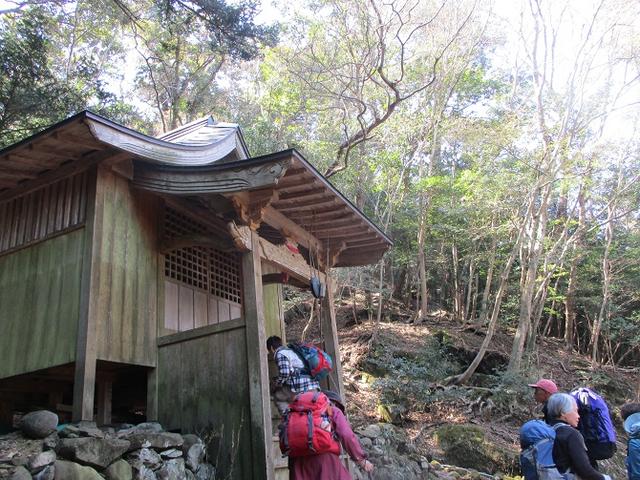画像4: 【山旅会・登山ガイドこだわりツアー】添乗員からの便り・対馬の御岳へいってきました!