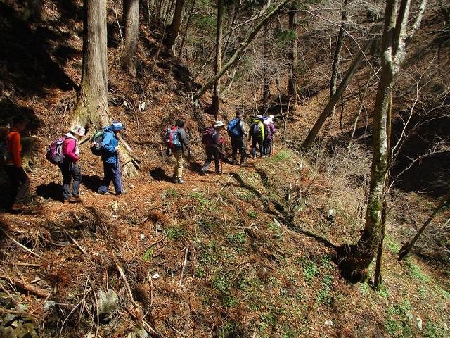 画像5: 4月15日に山旅会 「八溝山」 ツアーに行ってきました!