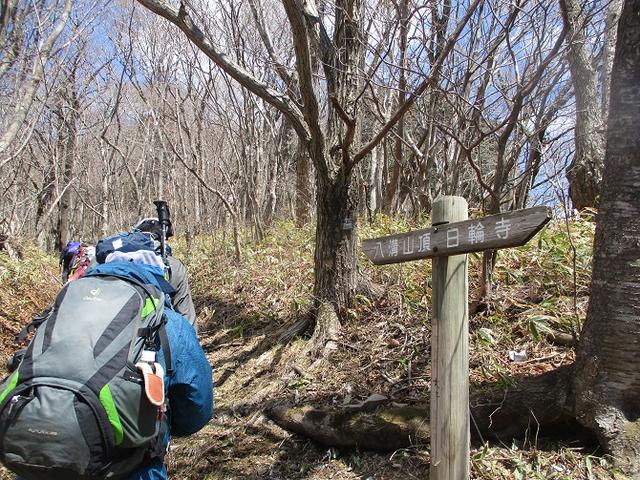 画像9: 4月15日に山旅会 「八溝山」 ツアーに行ってきました!