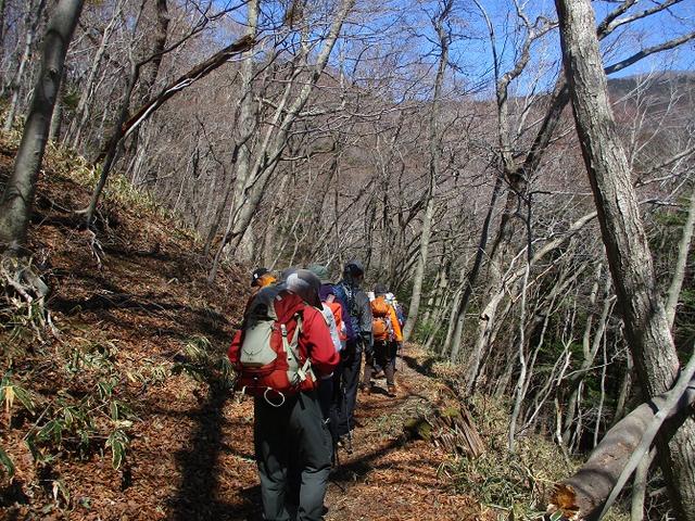 画像1: 4月15日に山旅会 「八溝山」 ツアーに行ってきました!